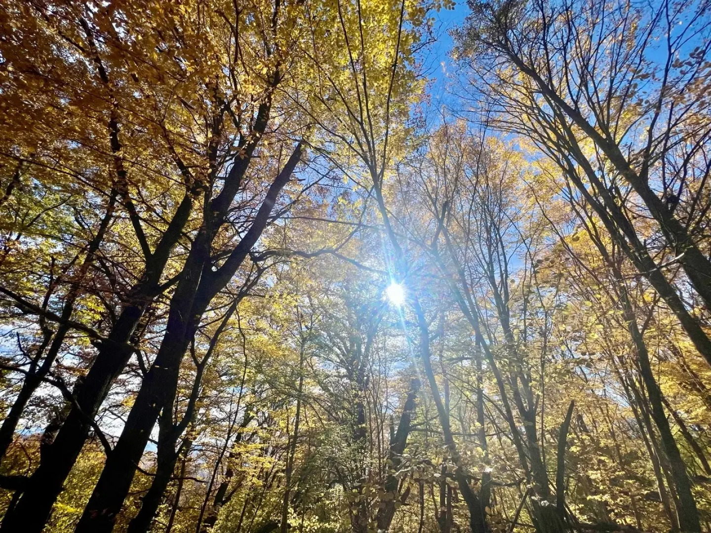 Гостевой дом Ранчо в горах Лаго-Наки