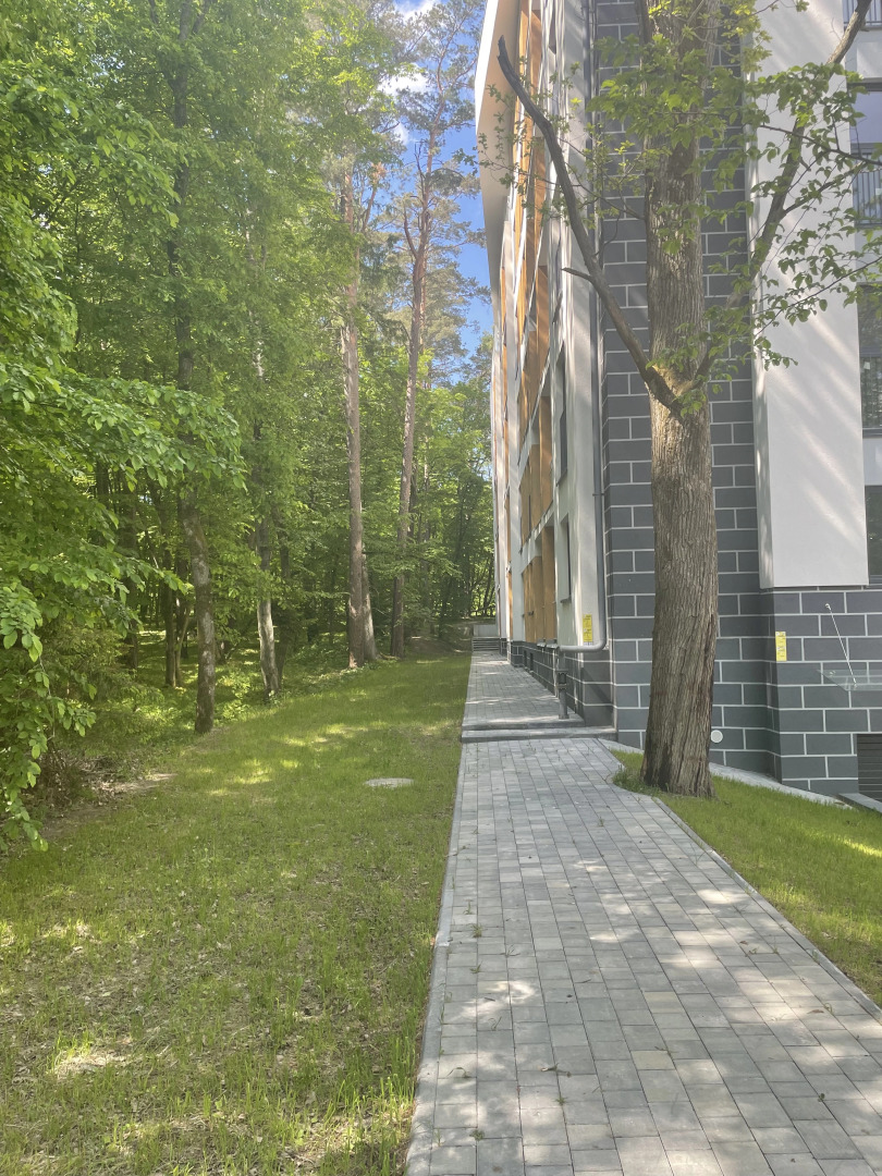 Апартаменты в сосновом лесу