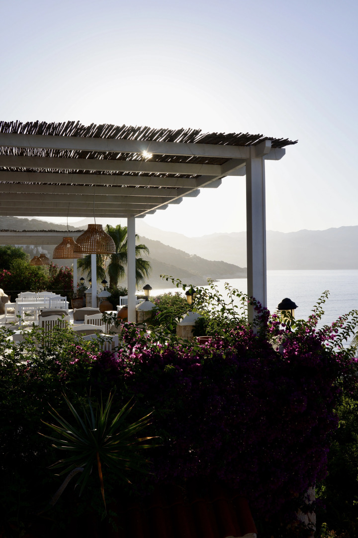 Отель Villa Tamara