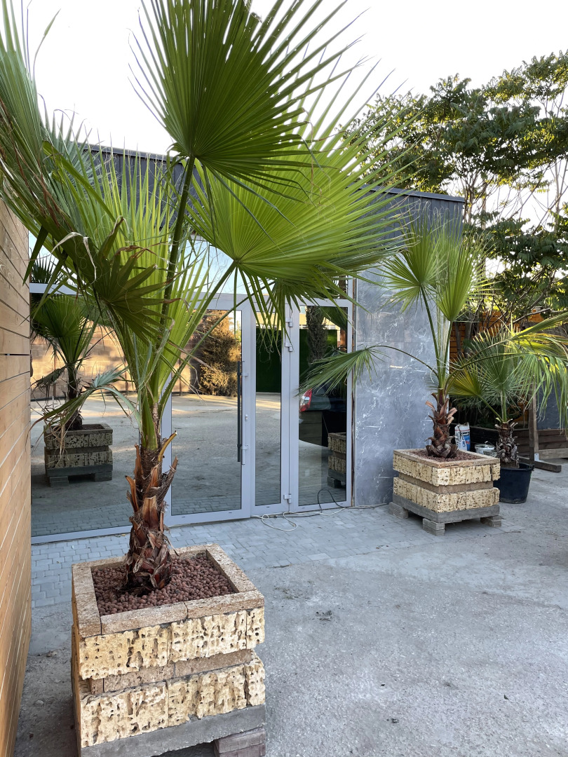 Жилые помещения Аура-Крым