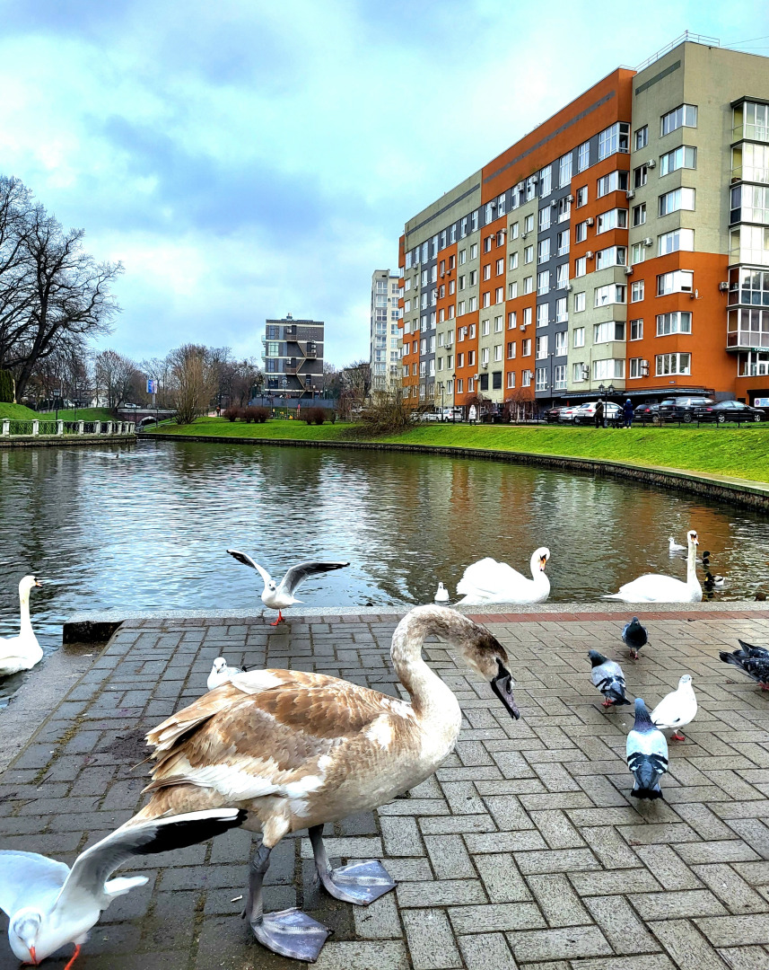 Квартира в центре у озера