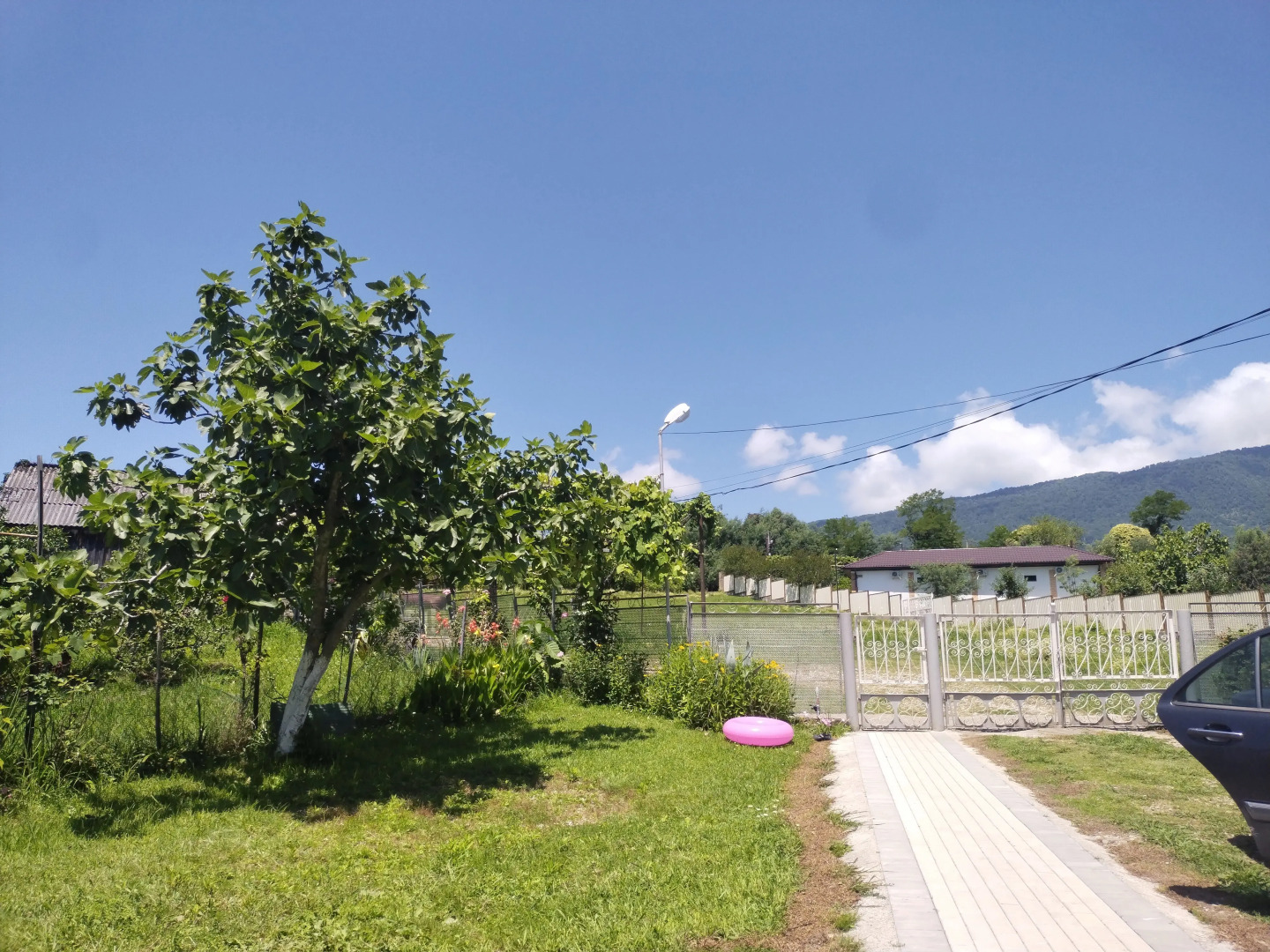 Гостевой дом Цитрус 21