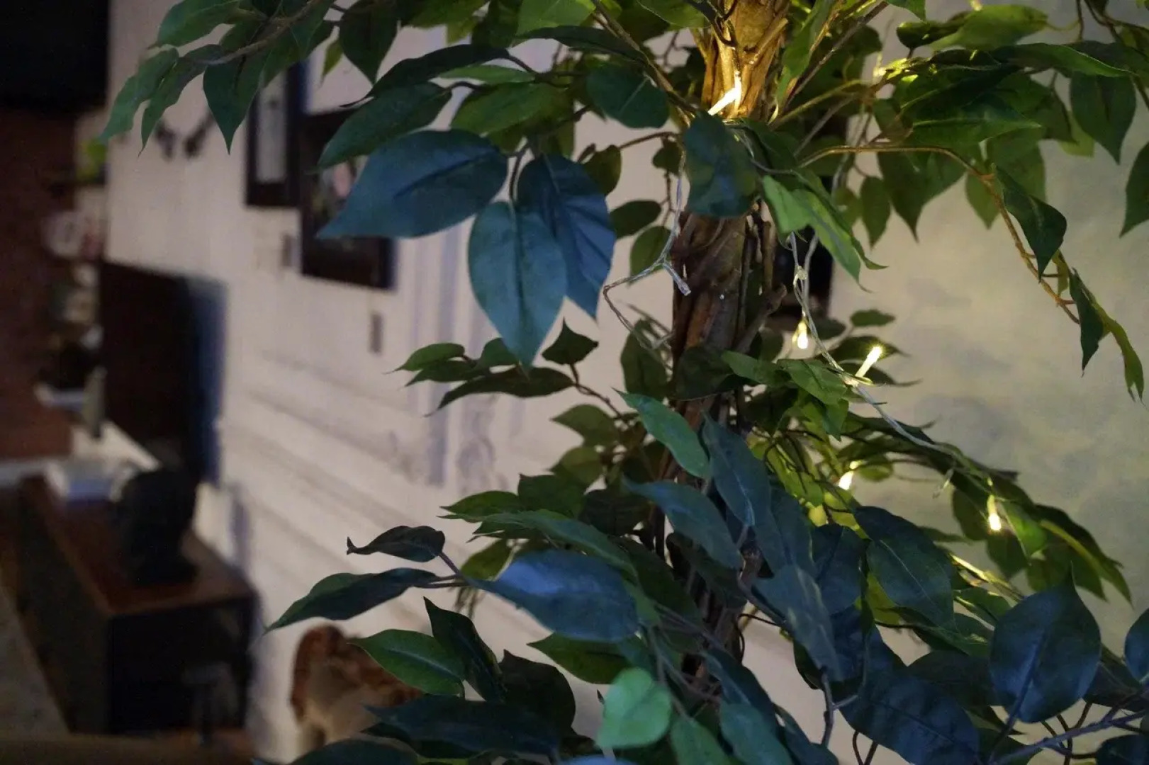 CULTAPART Квартира астролога