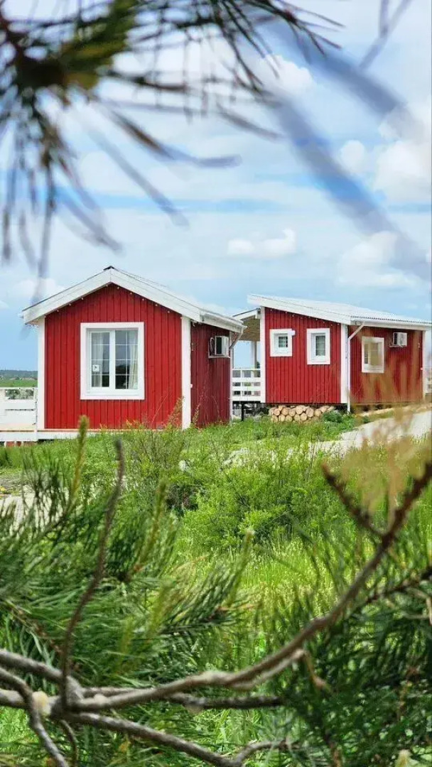 Частный дом Уютный с Террасой