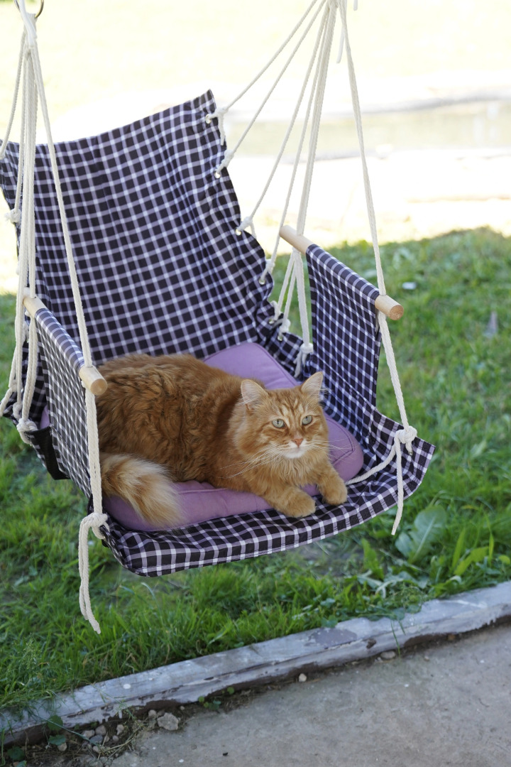 Дом Уютный в стиле Прованс