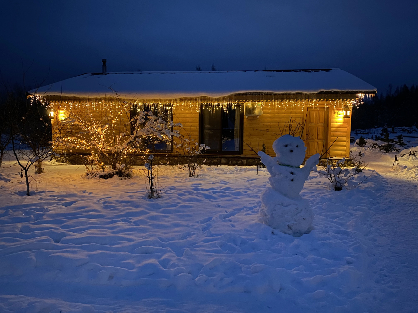 Гостевой дом Псковские дали