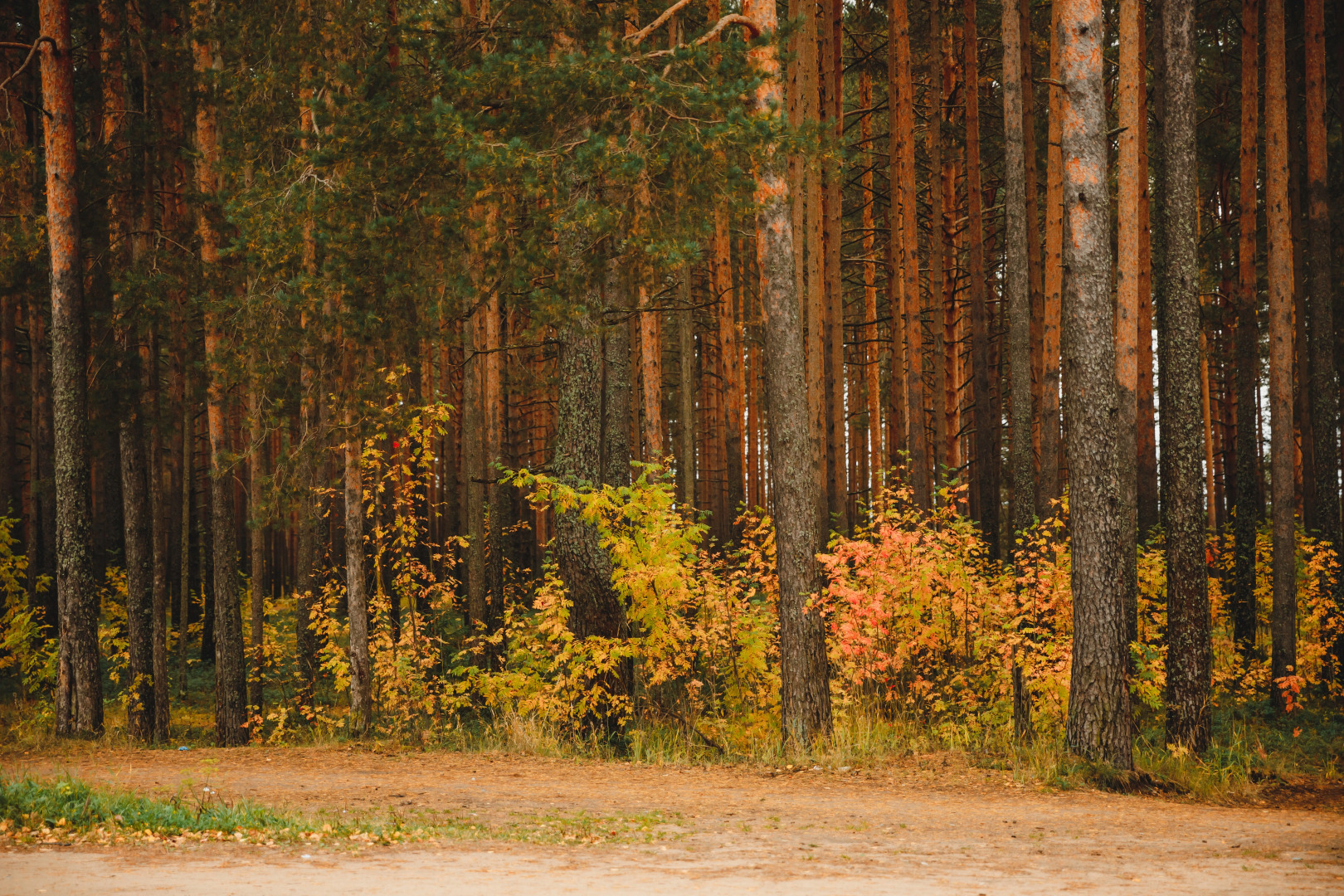 Гостиница Уют