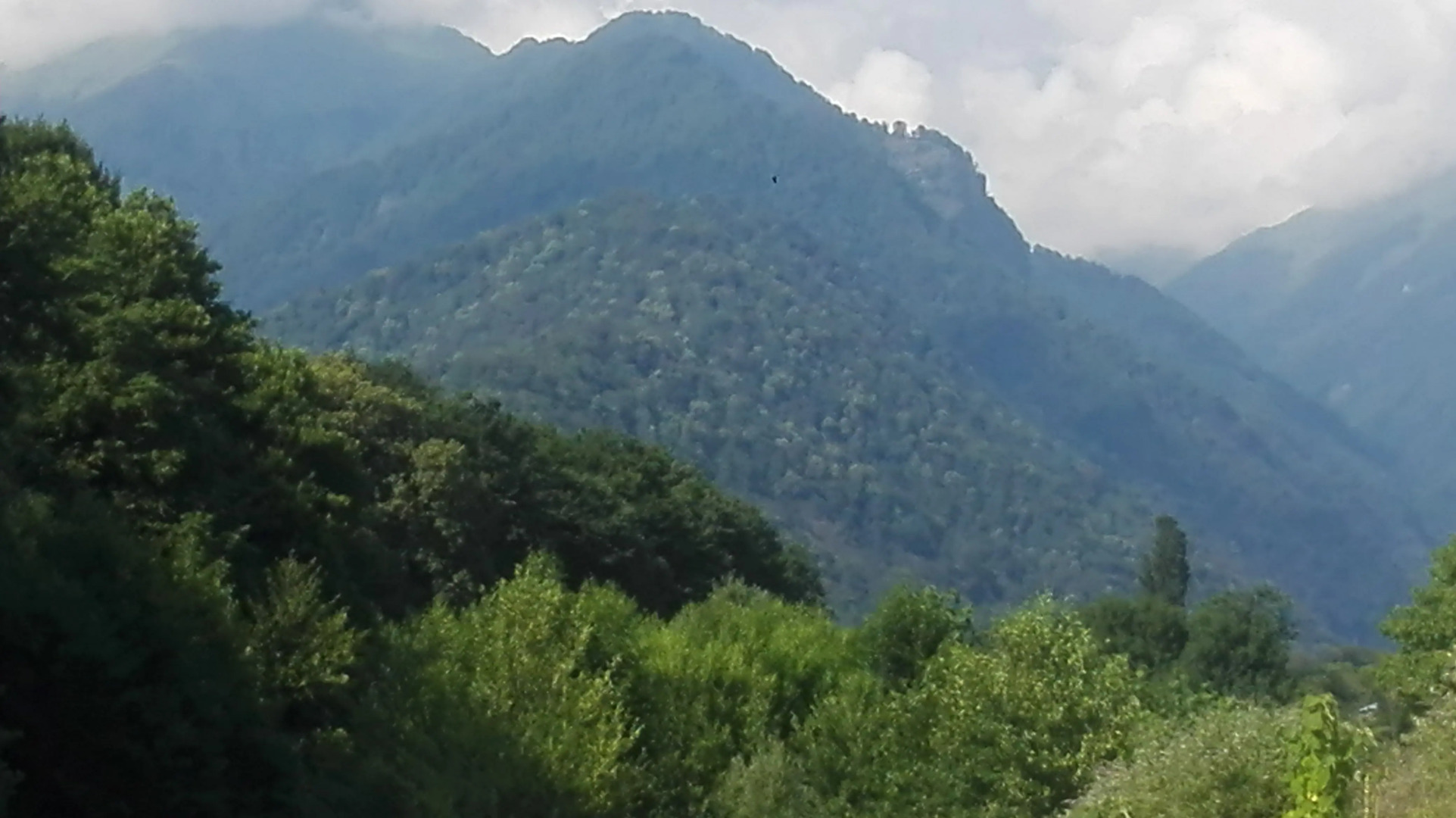 Гостевой Дом Мимино