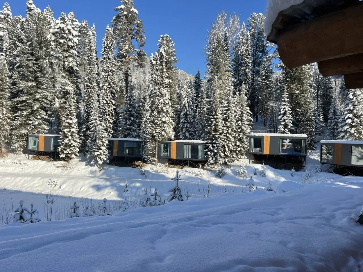 База отдыха Телецкое Золотое