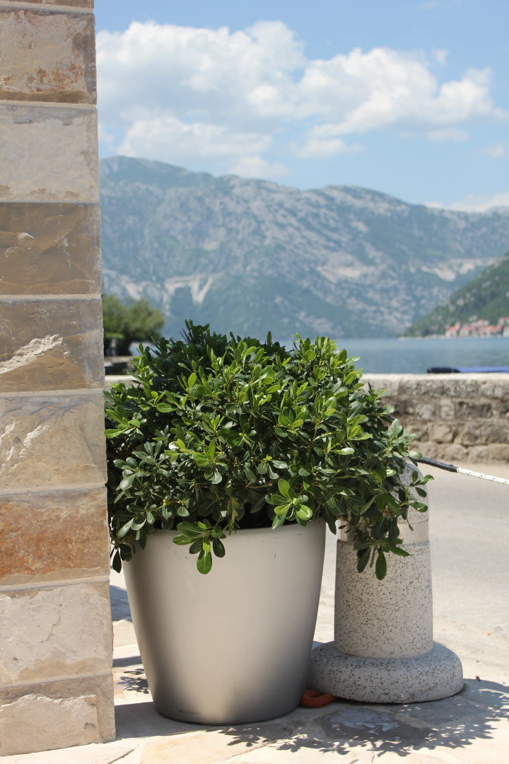 Апартаменты MiraMare-adriatica