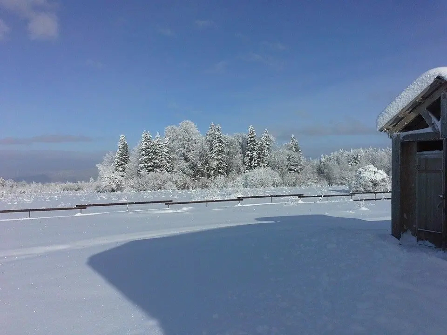 Ферма Колхидские Ворота