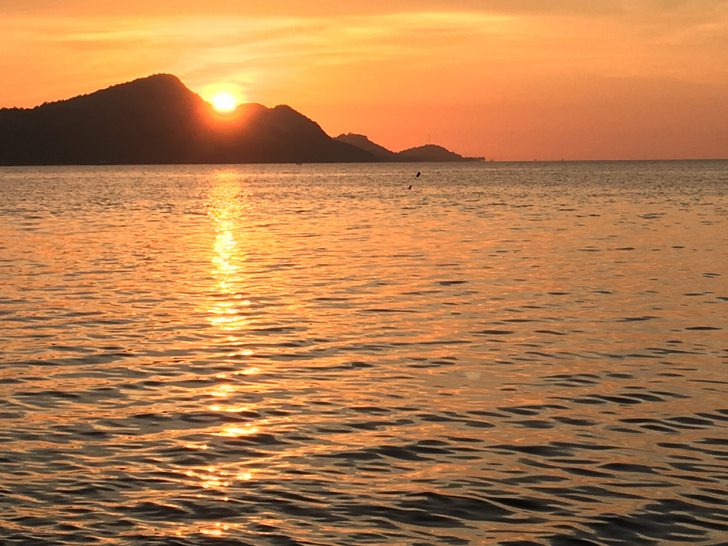 Отель Camellia Resort & Spa