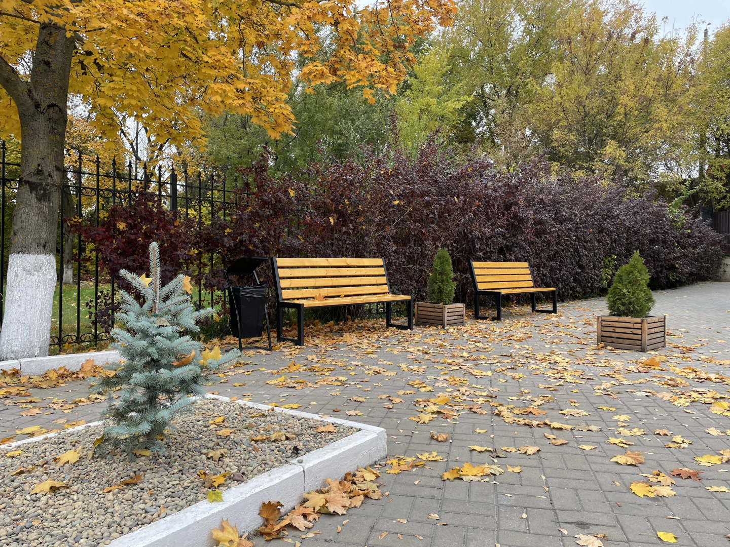 Отель Белые Росы