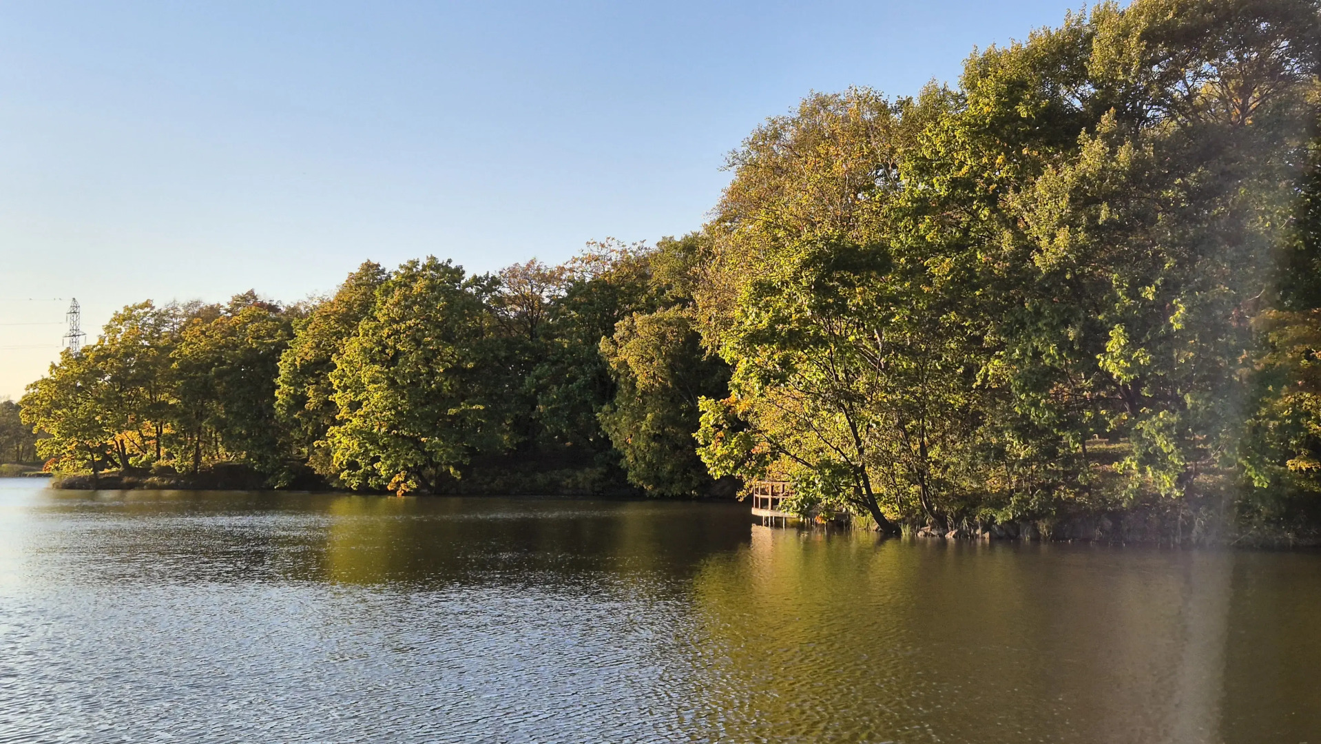 База отдыха Парк-отель Холмы