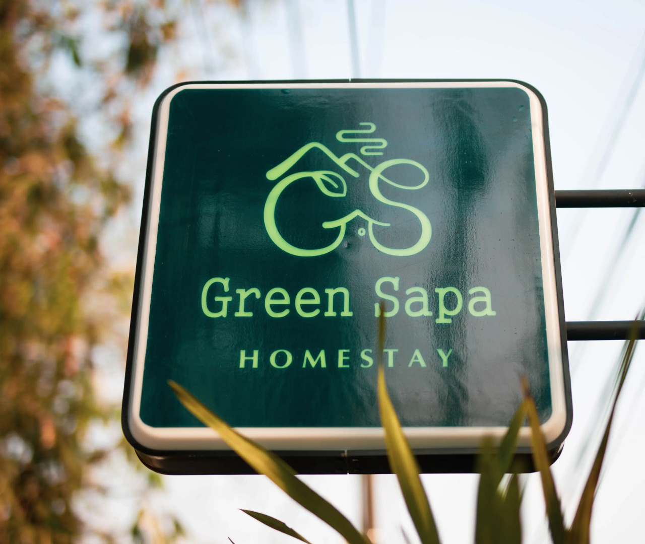 Гостевой дом Green Sapa Homestay