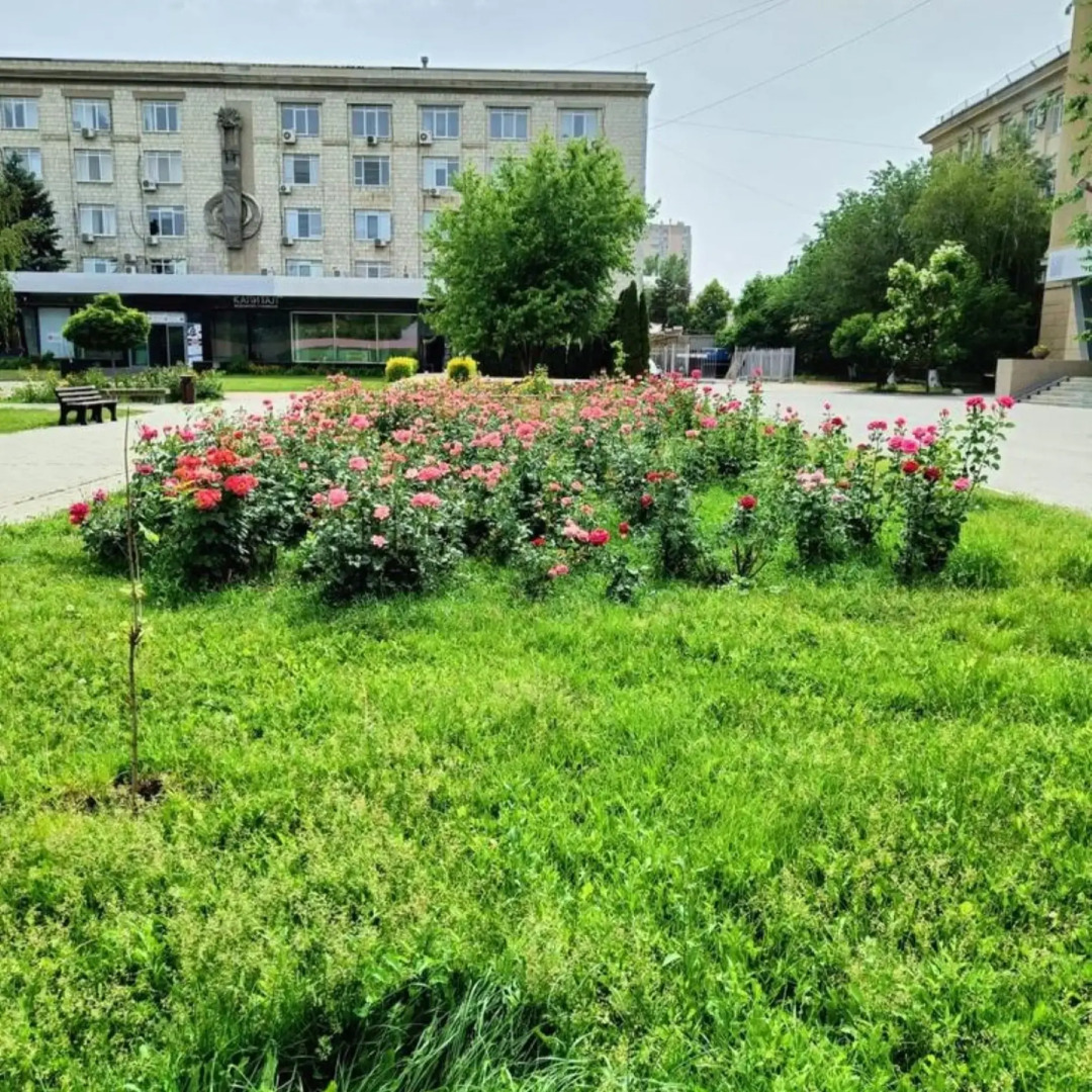 Квартира в центре Ворошиловского района