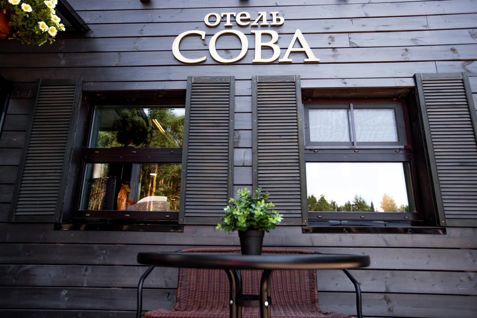 Отель Гостинница Сова