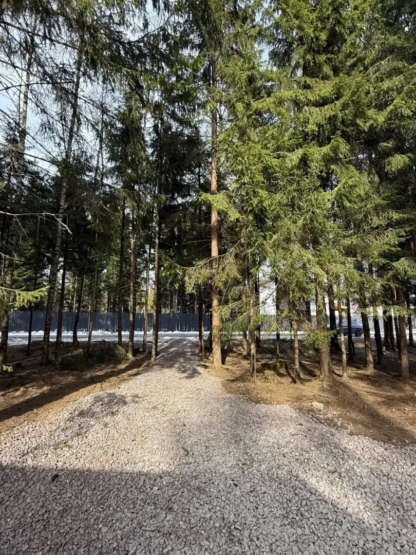 Частный дом Дом Белки