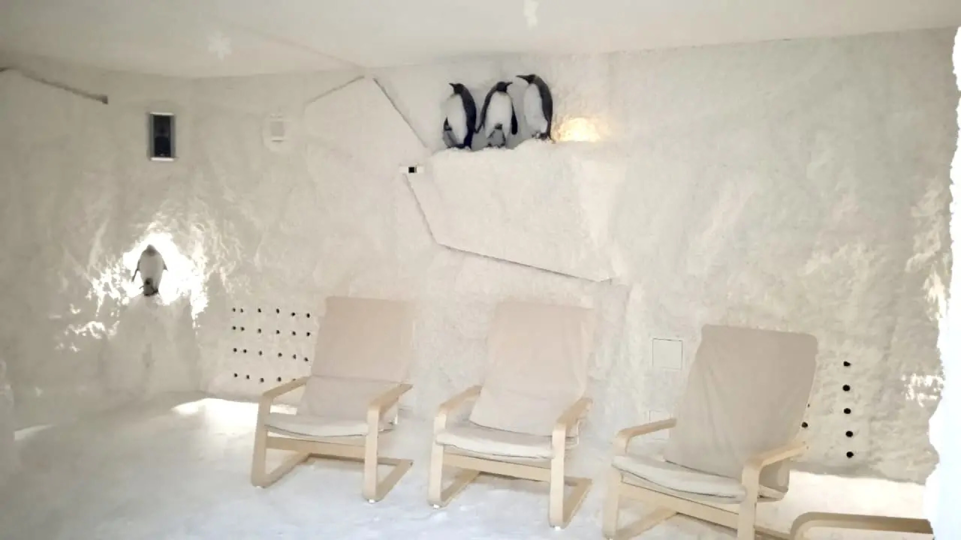 Санаторий Волга