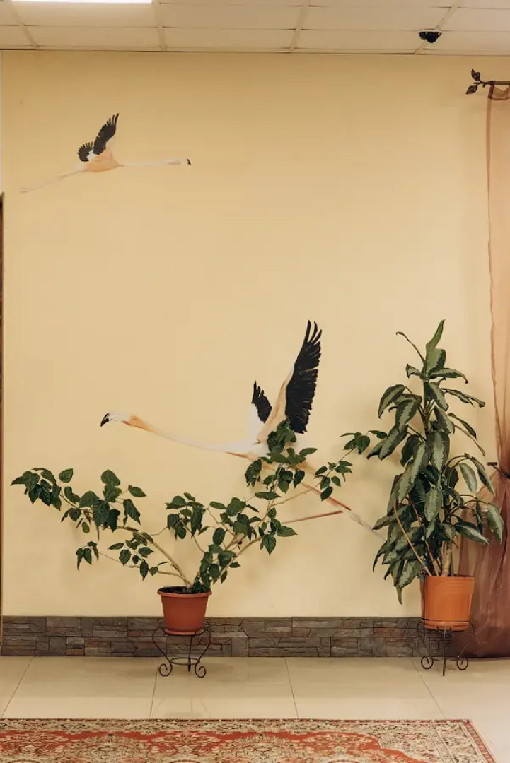 Гостевой Дом Фламинго