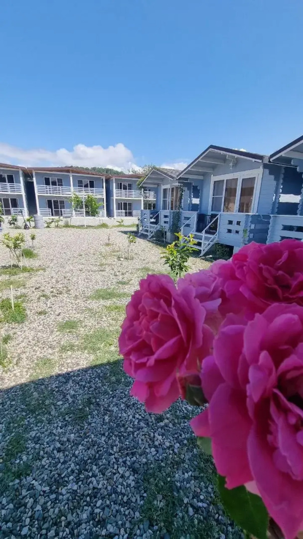 Гостевой дом Вилла Лаванда Абхазия