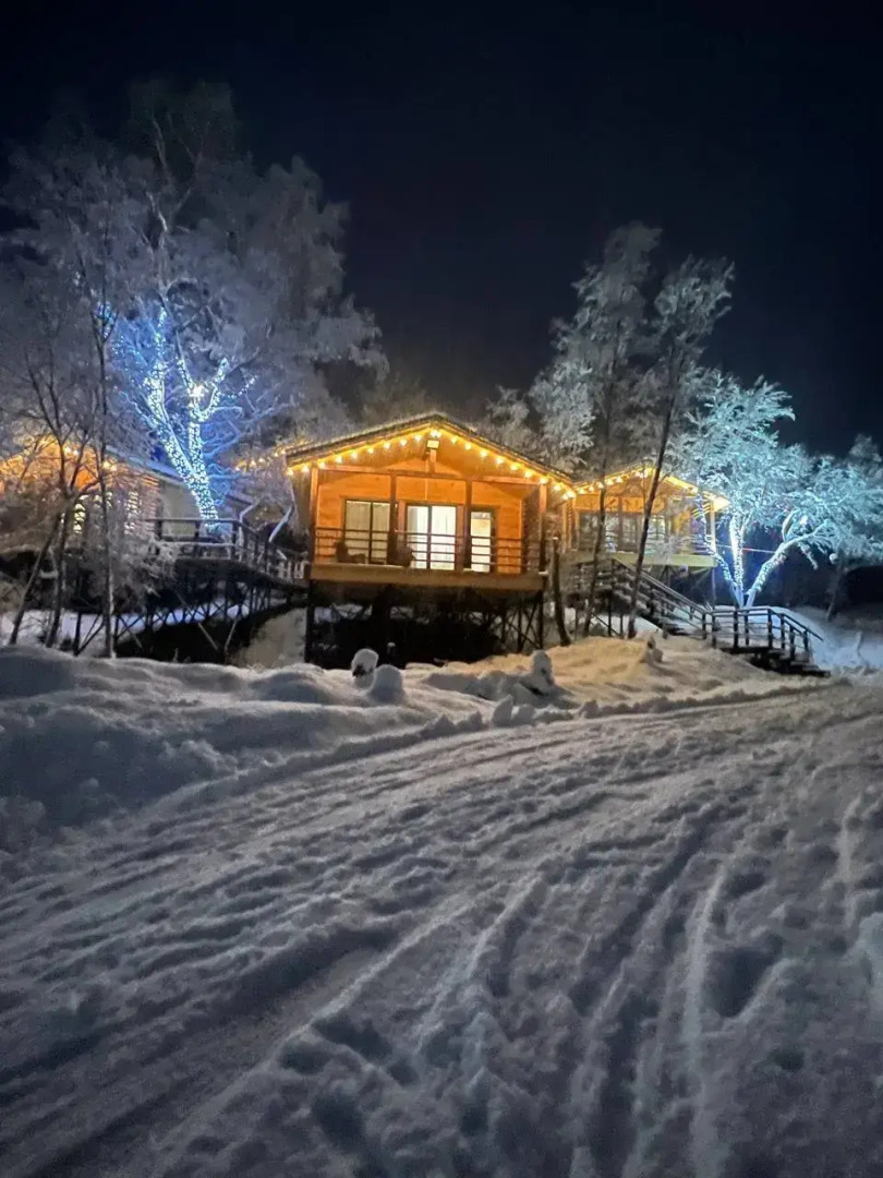 Частный дом Веселые гуси 5