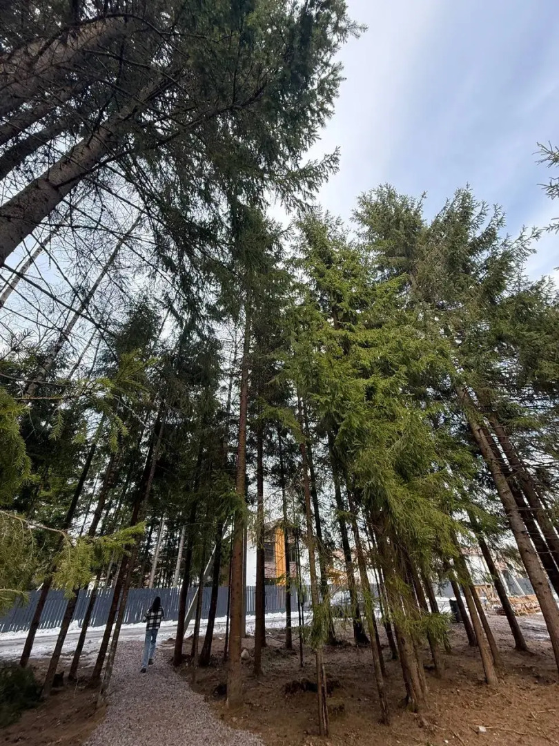 Частный дом Дом Белки