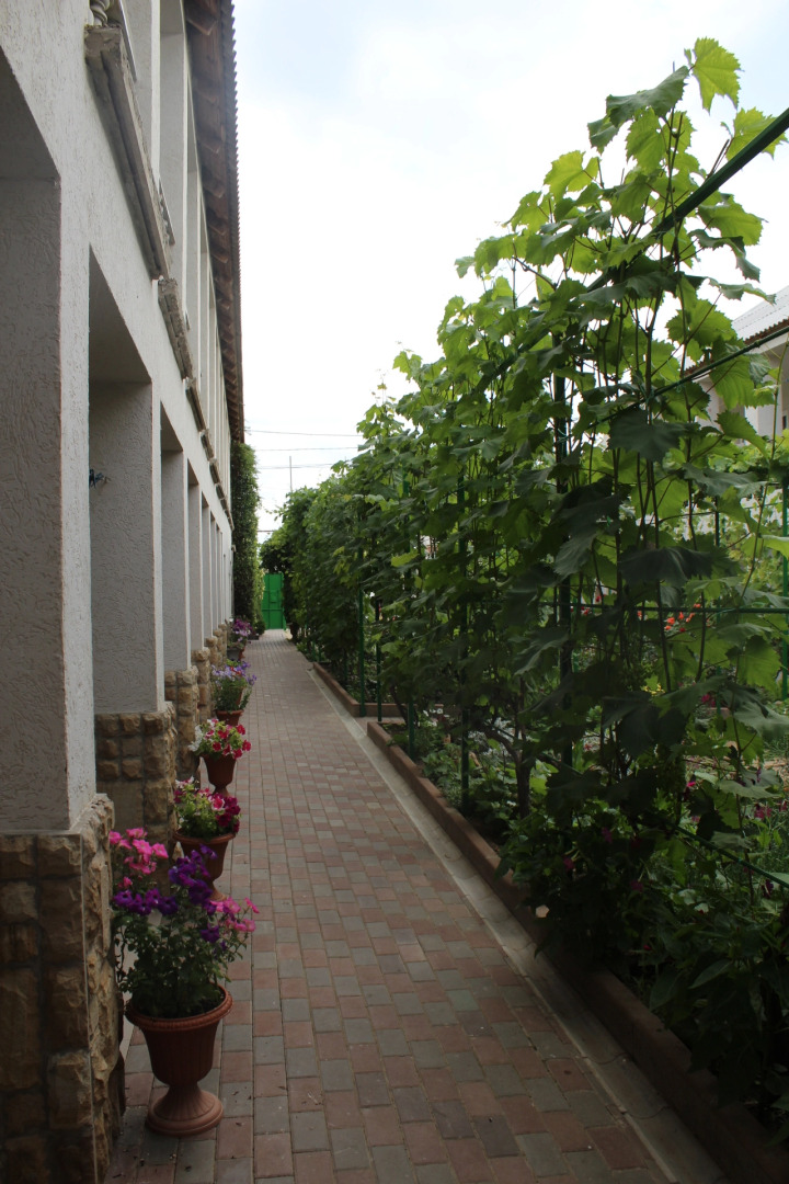 Гостевой дом Солнечная Орхидея