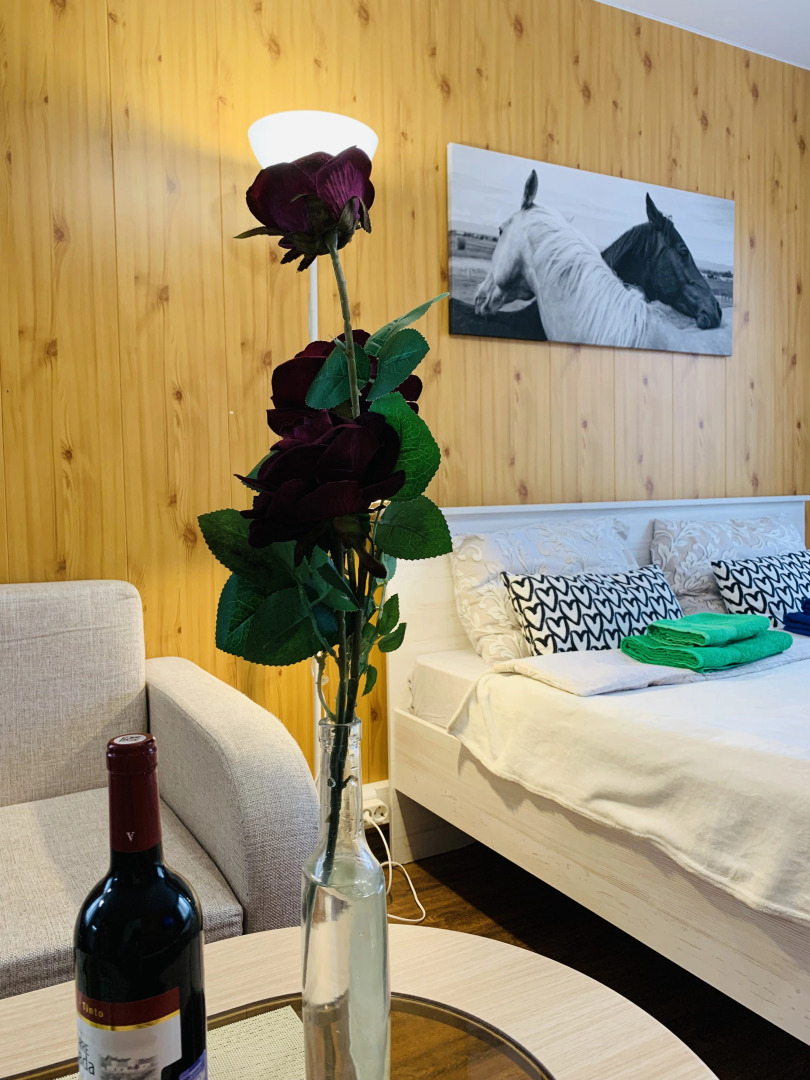 Апартаменты Сполохи