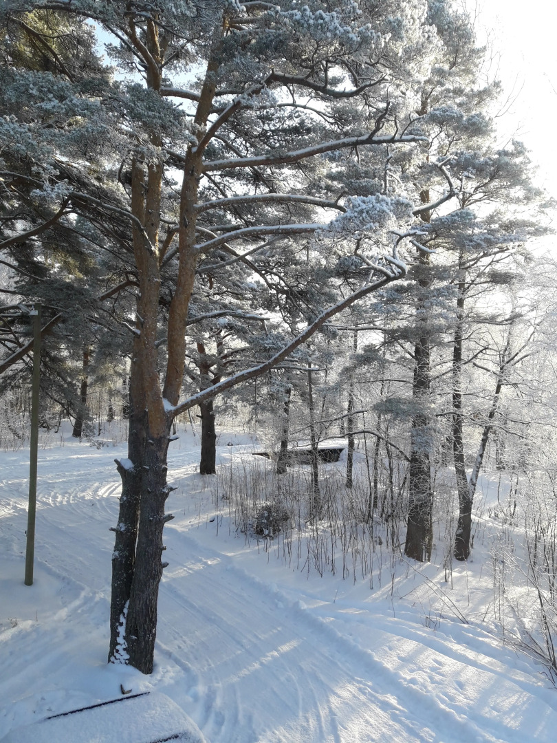 Частный Дом Озерная 38