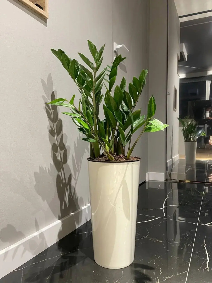 Апартаменты Volga-Sky