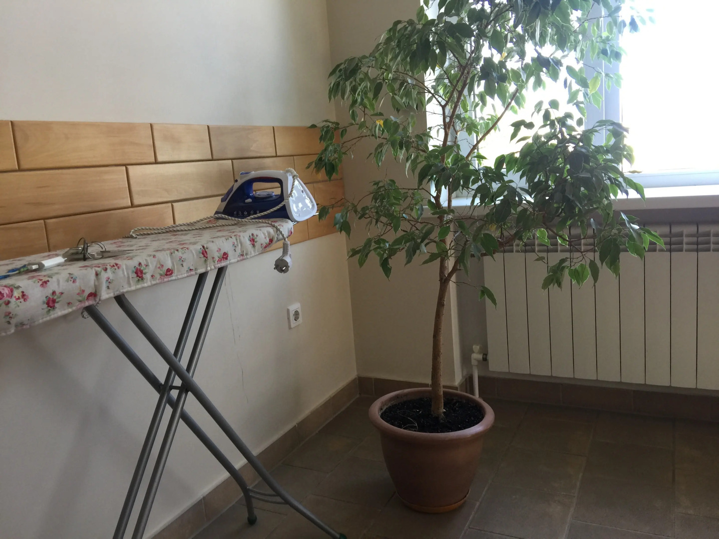 Гостевой Дом Морская звезда