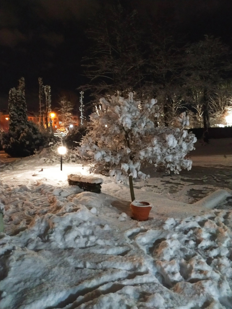 База отдыха Зеркальный карп