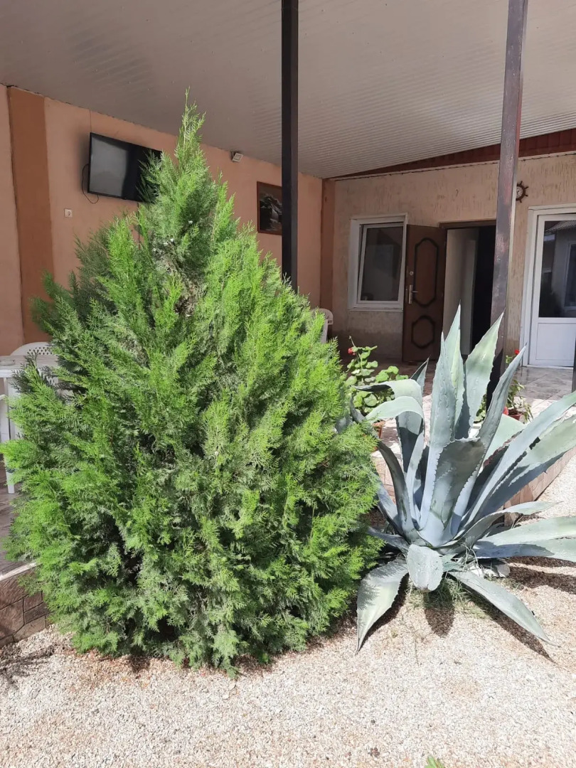 Жилое помещение Гавайи