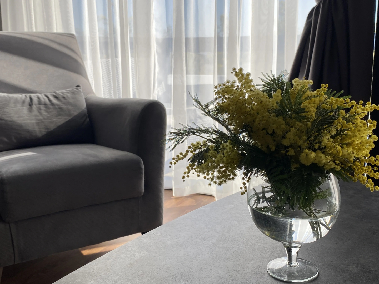 Гостевой дом Ласточка