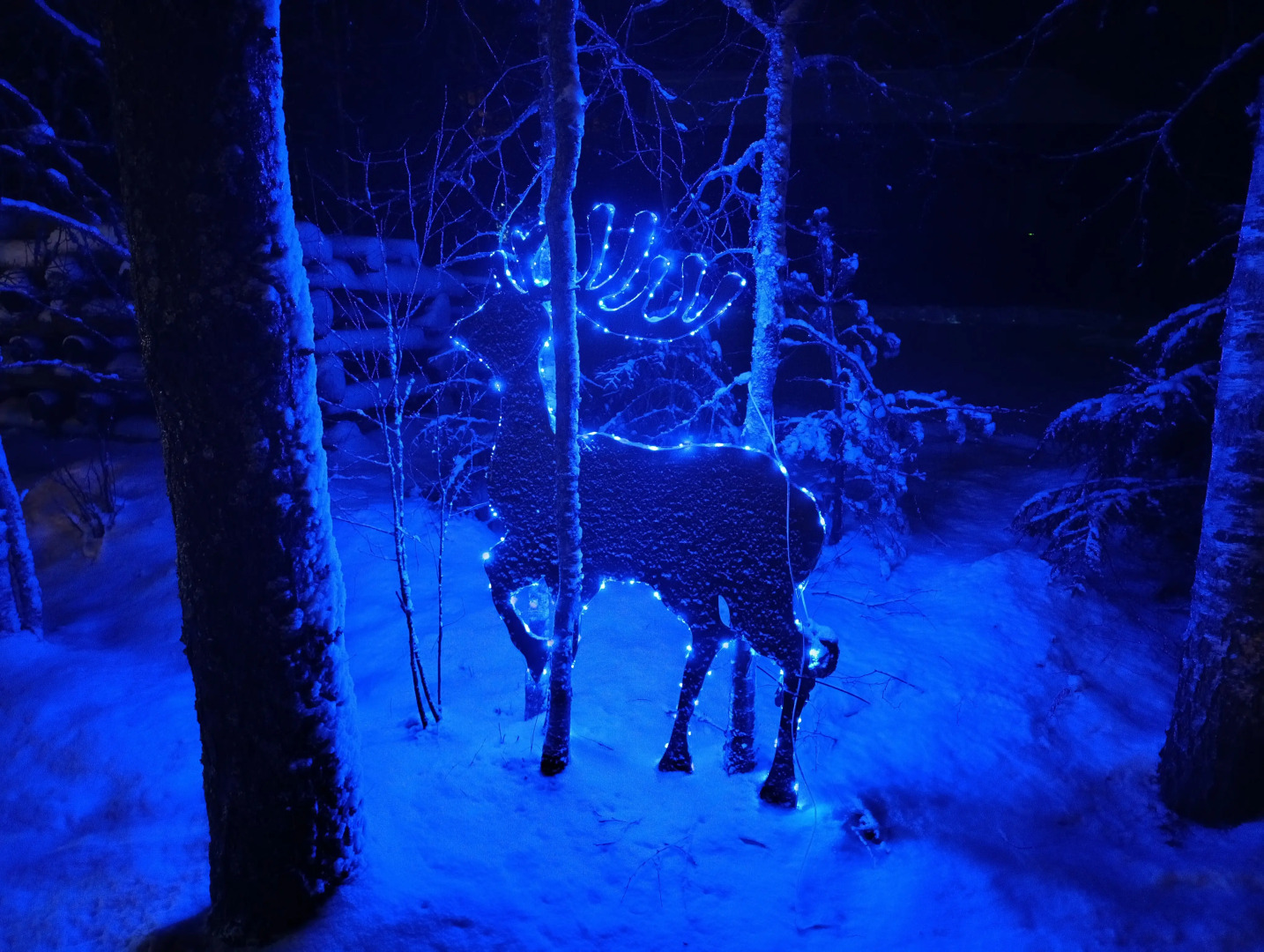 Частный дом Эко Дом