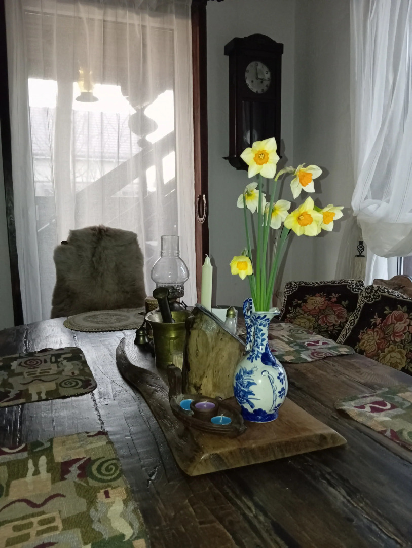 Частный дом деревенский