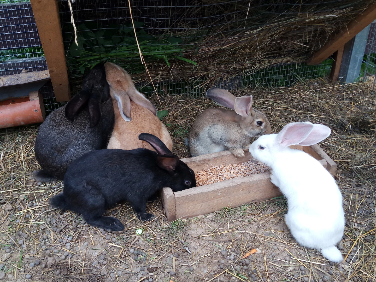 Парк-отель Астра