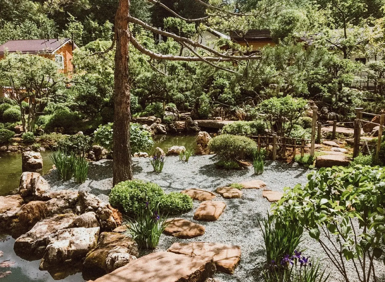 Парк-отель Пихтовый Бор