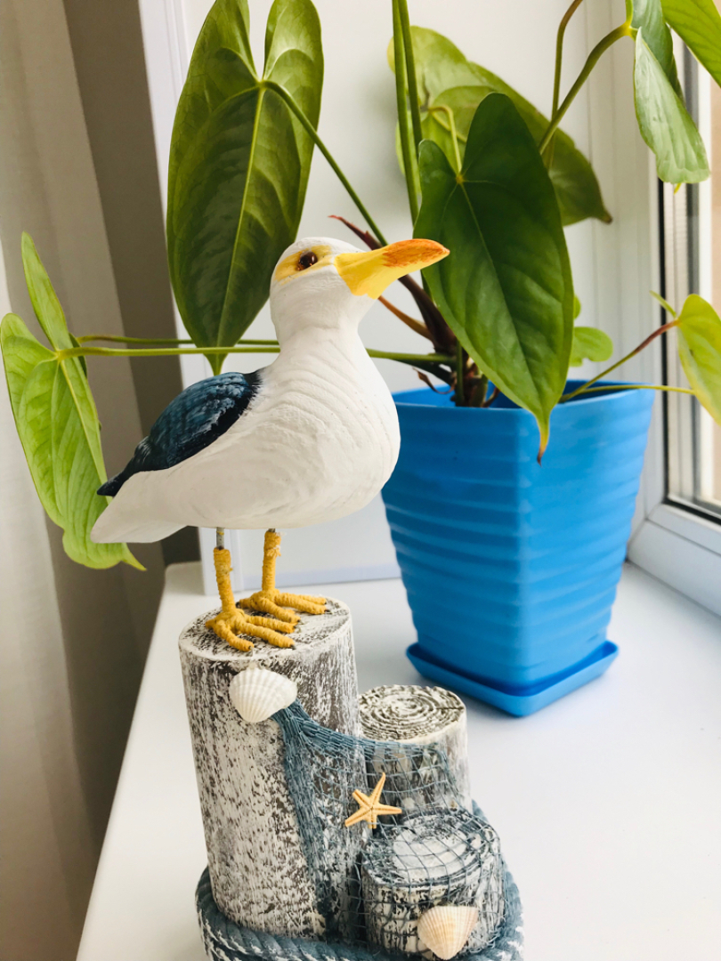 Студия на Баляева