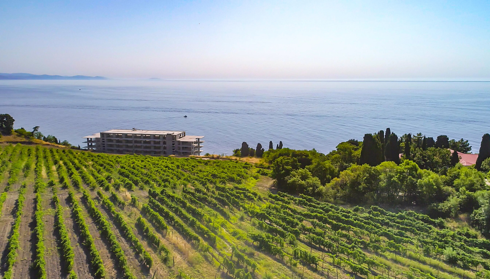 Отель Виола