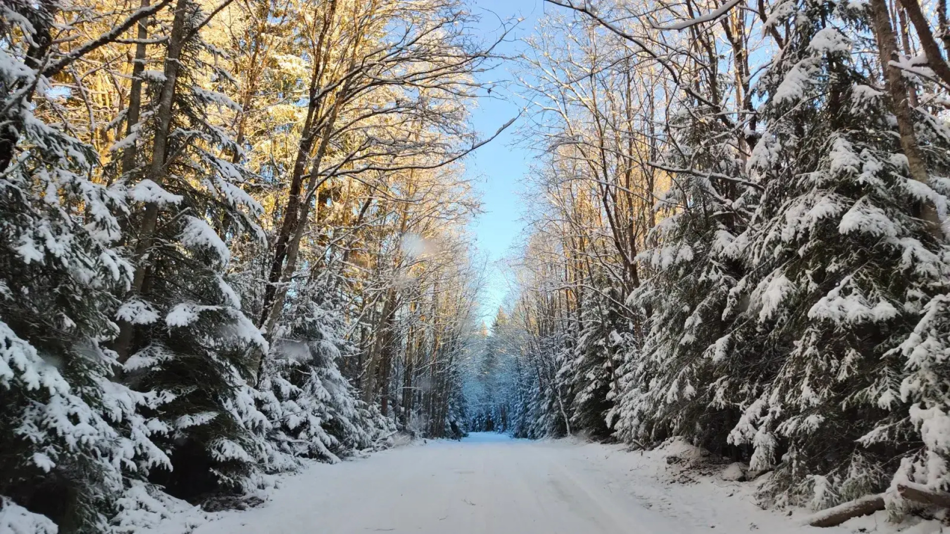 Частный Дом с Баней