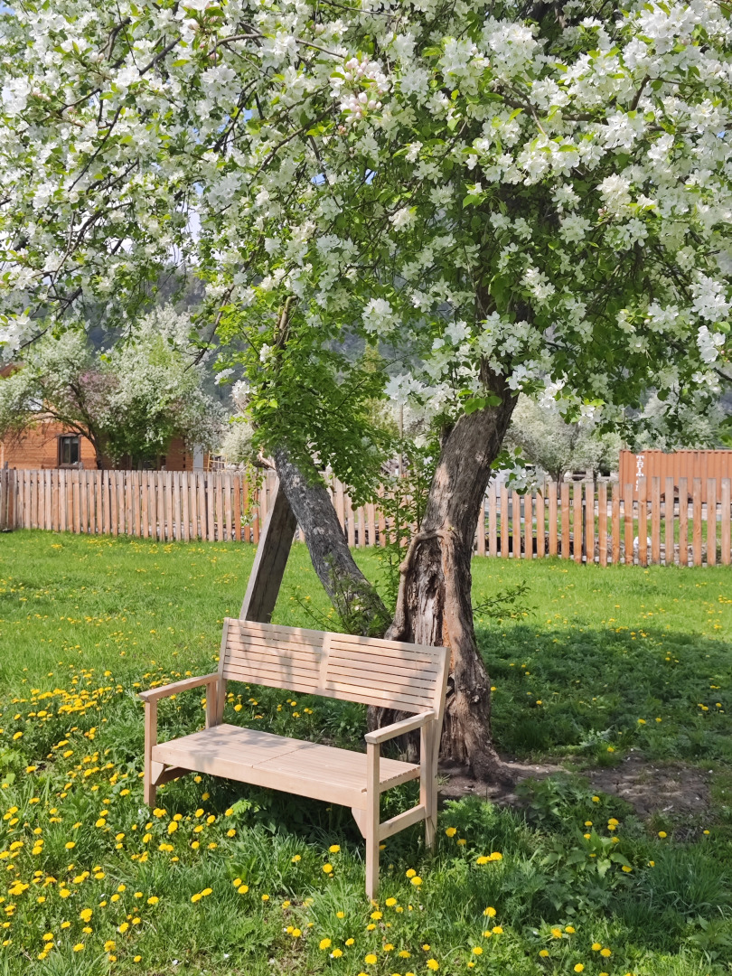 Усадьба Золотой медведь