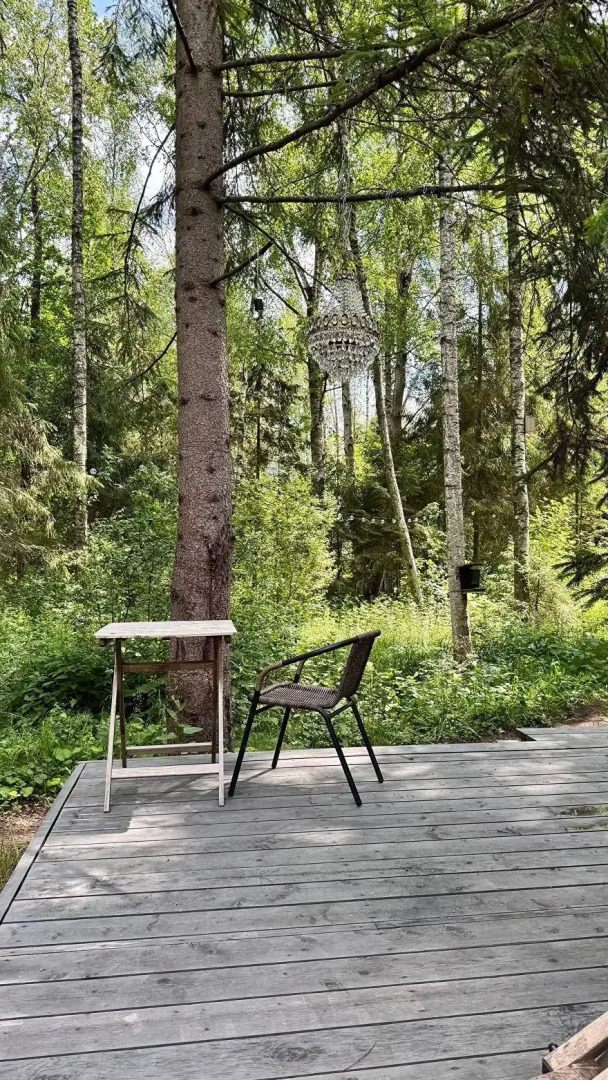 Гостевой дом в лесу