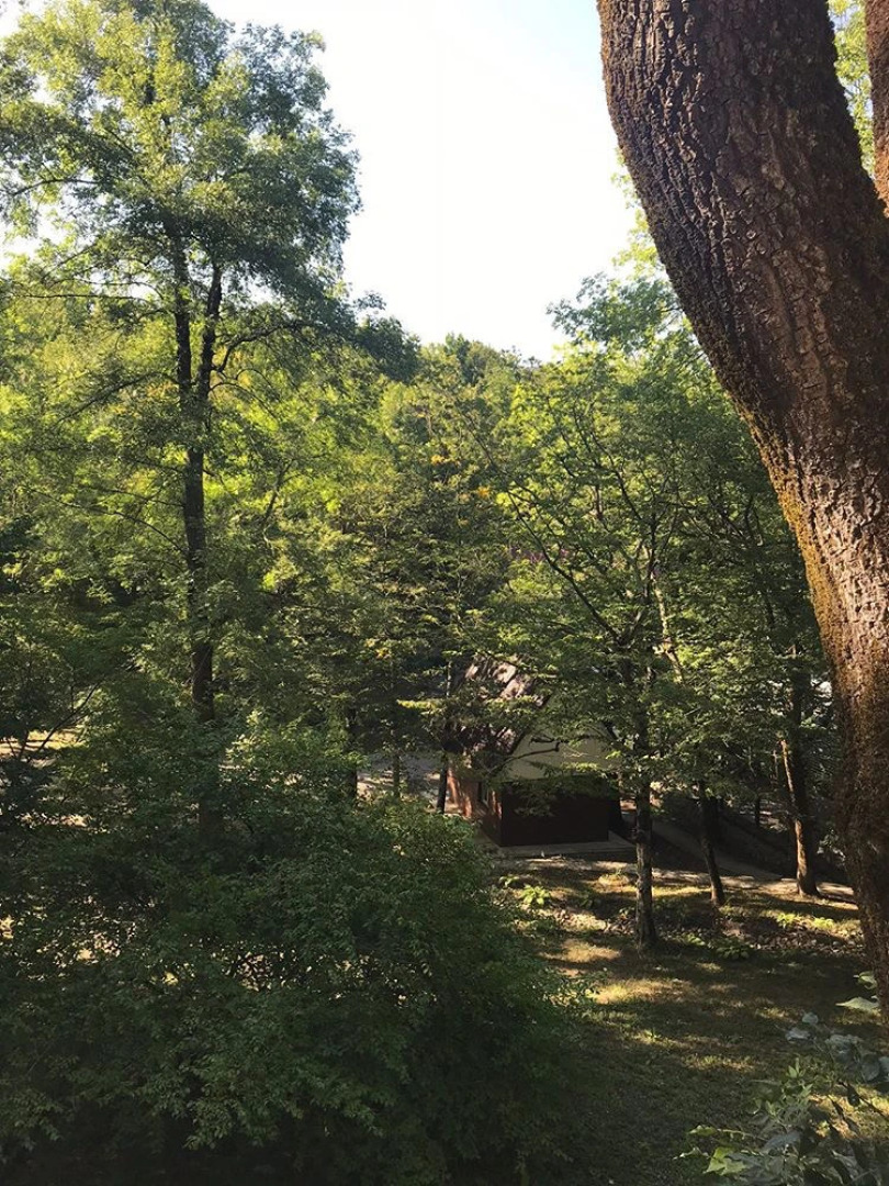 База отдыха Гостиничный комплекс Примула