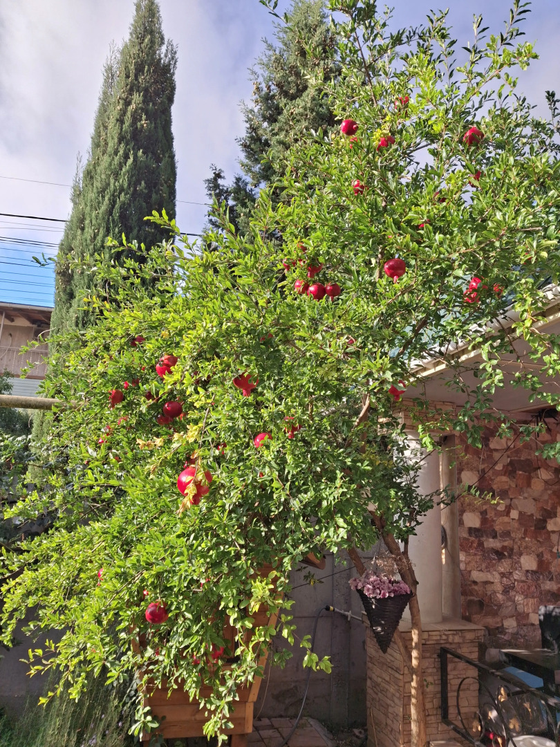 Гостевой дом Лето