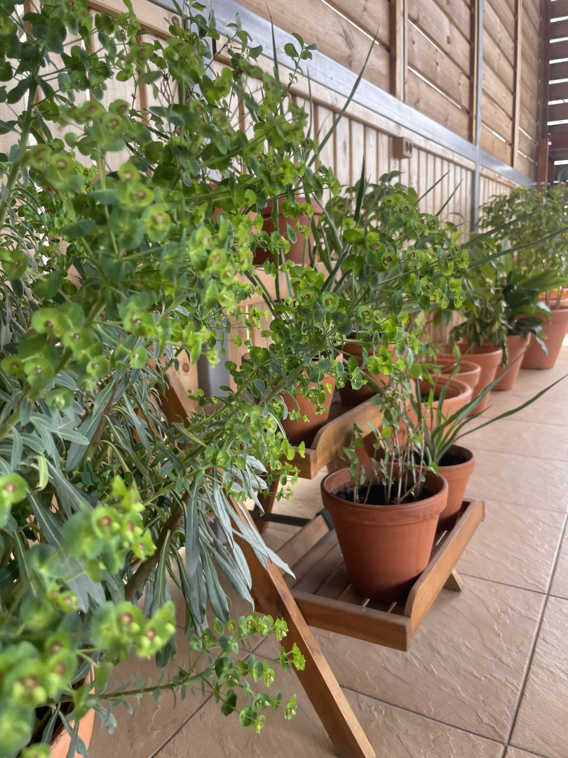 Отель Гармония