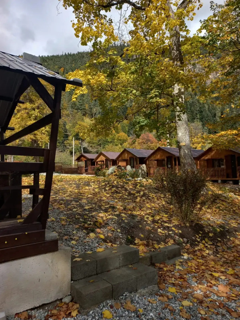 Отель Барбарис