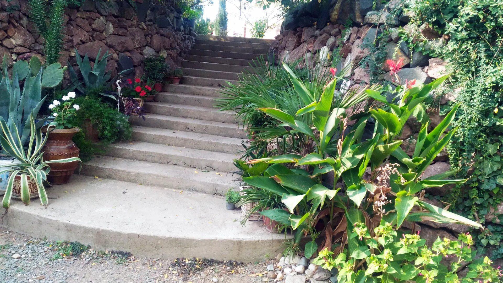 Гостевой Дом Адель Николаевка Крым