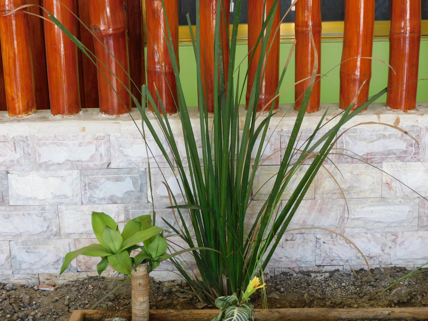 Casa de Huéspedes Yoli By Rotamundos